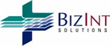 BizInt Solutions